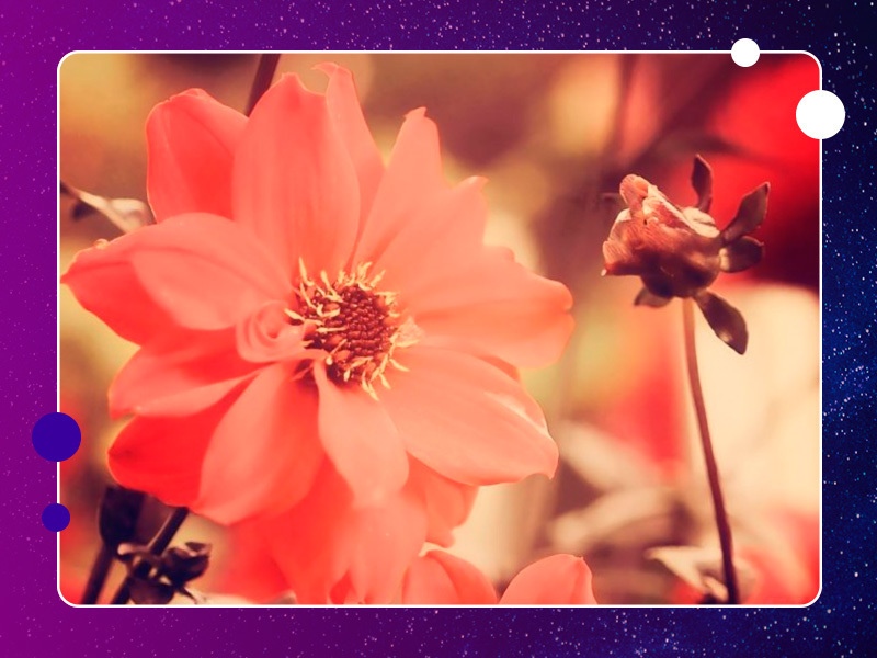 Лечение звуком