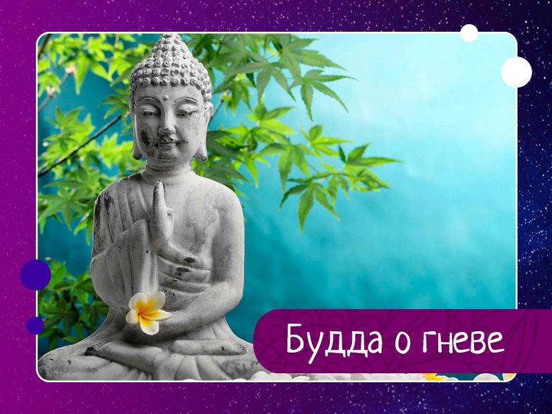 Будда о гневе Будда о гневе