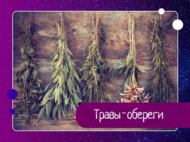 Магия трав и деревьев известна людям из далекого прошлого. Травы-обереги известны как сильные оберег Магия трав и деревьев известна людям из далекого прошлого. Травы-обереги известны как сильные оберег