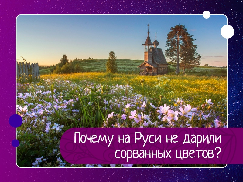Почему на Руси не дарили сорванных цветов? Почему на Руси не дарили сорванных цветов?