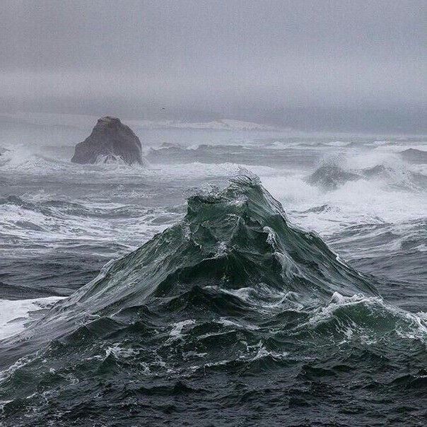 РИТУАЛ ПРОСТОТЫ