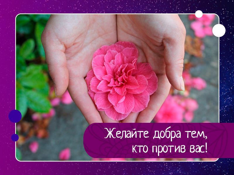 Желайте добра тем, кто против вас! Желайте добра тем, кто против вас!