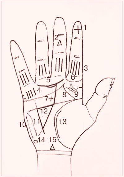 Особые знаки на ладони Особые знаки на ладони