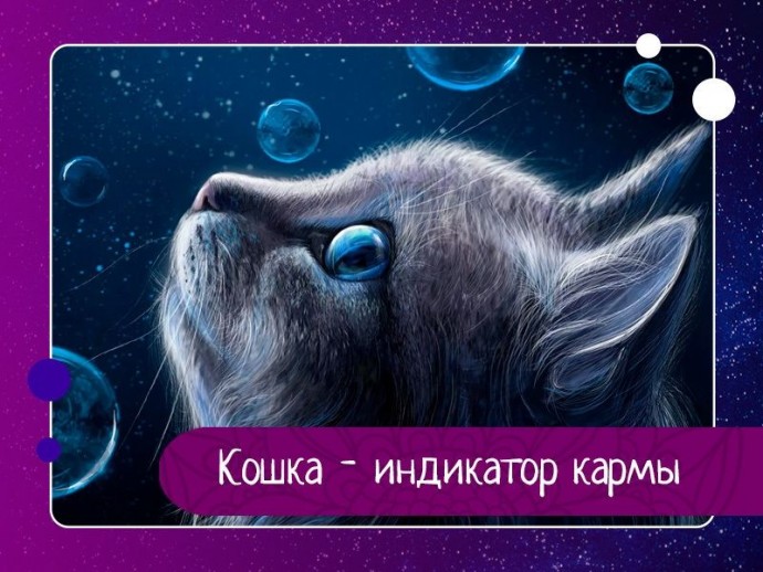 Кошка - индикатор кармы Кошка - индикатор кармы