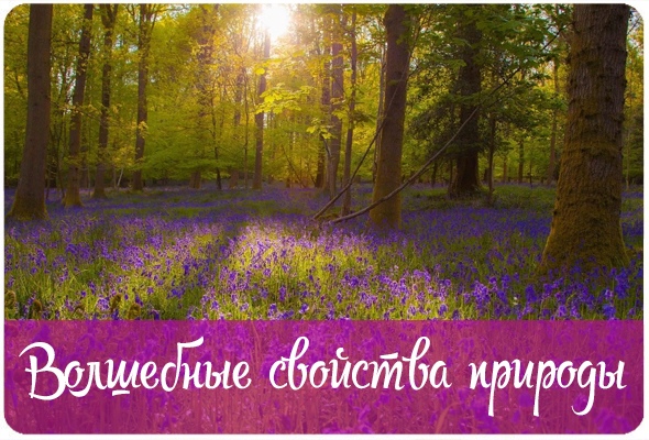 Волшебные свойства природы