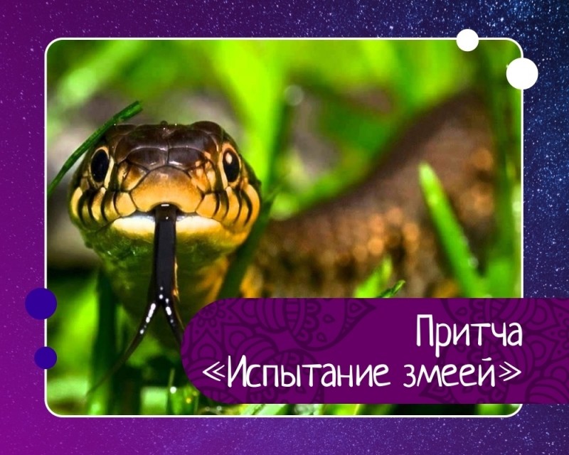Притча испытание змеей Притча испытание змеей