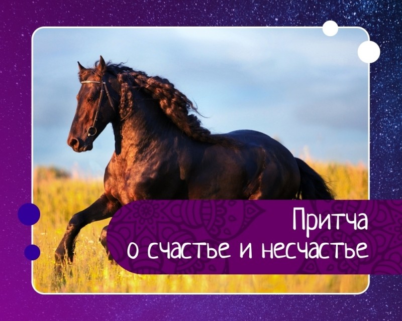 Притча о счастье и несчастье Притча о счастье и несчастье