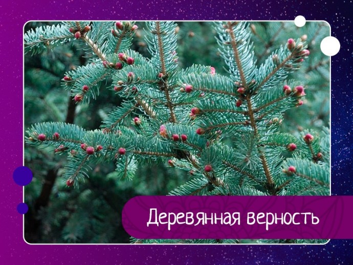 Деревянная верность