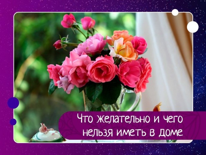 Что желательно и чего нельзя иметь в доме Что желательно и чего нельзя иметь в доме